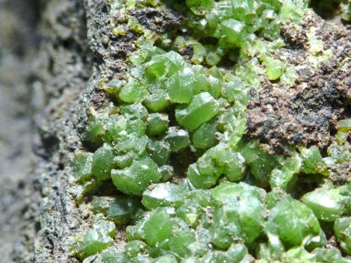 Piromorfita
El Marquesado - Sierra Nevada - Granada
Pieza de 3,5x3 cm.
Detalle de la pieza anterior (Autor: El Coleccionista)