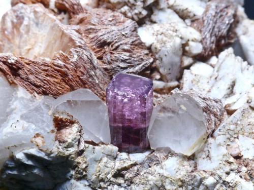 Turmalina Rubelita
Puerto Mancilla - Loma de Portezuelas - Estepona - Málaga
Pieza de 11x10 cm. cristal mayor 0,8 cm.
Detalle de la pieza anterior (Autor: El Coleccionista)