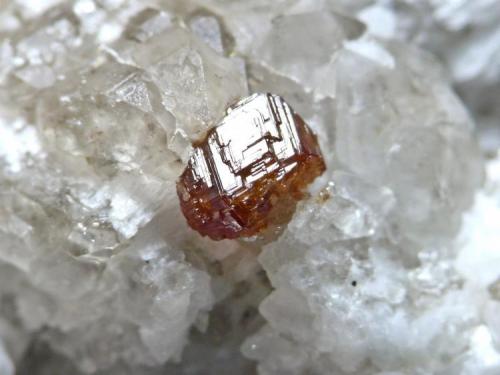 Granate Spessartina (Espesartina)
Trascastillo - Cártama - Málaga
Pieza de 4,5x3 cm. cristal mayor 0,4 cm.
Detalle de la pieza anterior (Autor: El Coleccionista)