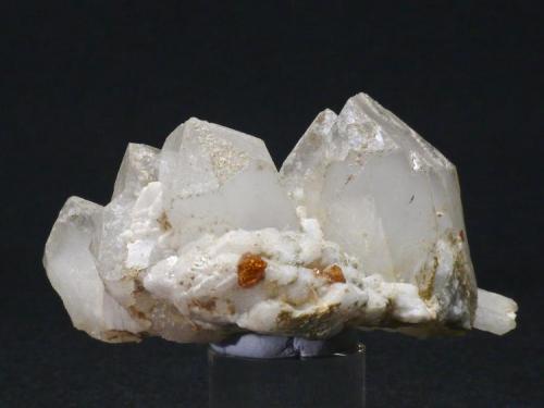 Granate Spessartina (Espesartina)
Trascastillo - Cártama - Málaga
Pieza de 7x5 cm. cristal mayor 0,4 cm. (Autor: El Coleccionista)