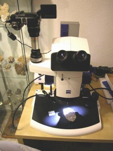 Estereomicroscopio. (Autor: Cesar M. Salvan)