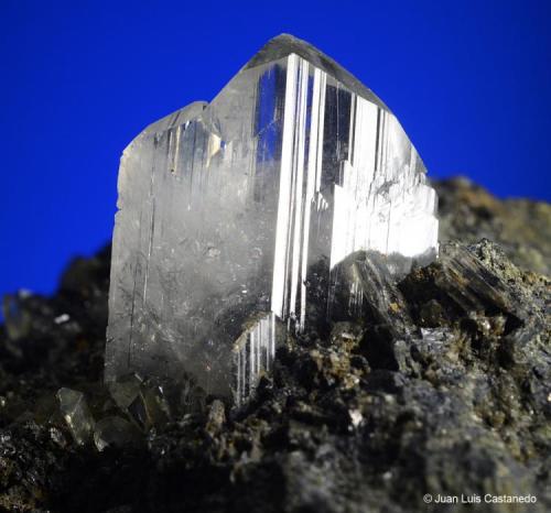 Anglesita. 
Touissit. Oujda. Marruecos. 
5.5x5 cm. Cristal 2 cm. (Autor: Juan L)
