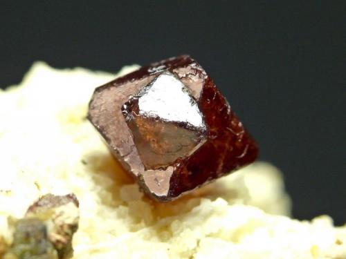 Espinela Roja
Sierra de Mijas - Mijas - Málaga
Pieza de 4,5x3,5 cm. cristal mayor 0,7 cm.
Detalle de la pieza anterior (Autor: El Coleccionista)