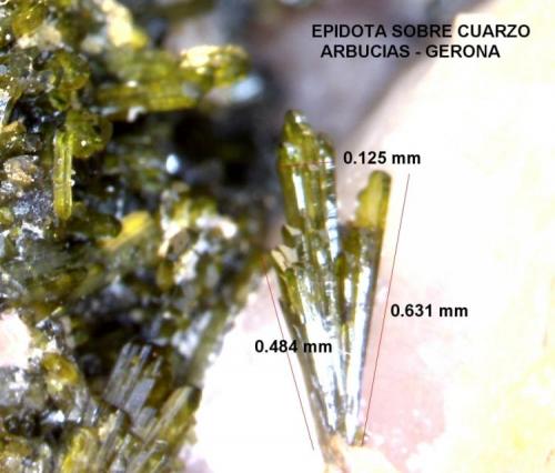 Epidota y Cuarzo<br />Arbúcies, Comarca La Selva, Massís del Montseny, Gerona / Girona, Cataluña / Catalunya, España<br />0.484 x 0.631 x 0.125 mm.<br /> (Autor: Jesus Franquesa Baucells)