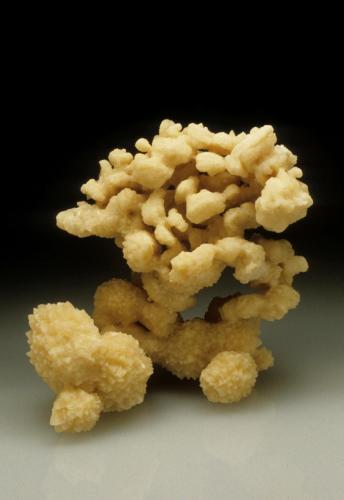 Calcite after coral<br />Key Largo (Cayo Largo), Florida Keys Archipelago, Monroe County, Florida, USA<br />12 cm. high<br /> (Author: Jordi Fabre)