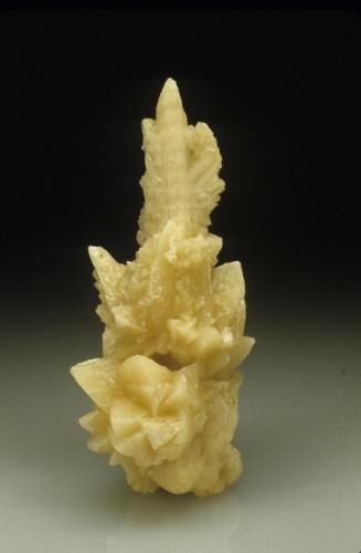 Calcite after coral<br />Key Largo (Cayo Largo), Florida Keys Archipelago, Monroe County, Florida, USA<br />12.4 cm. high<br /> (Author: Jordi Fabre)