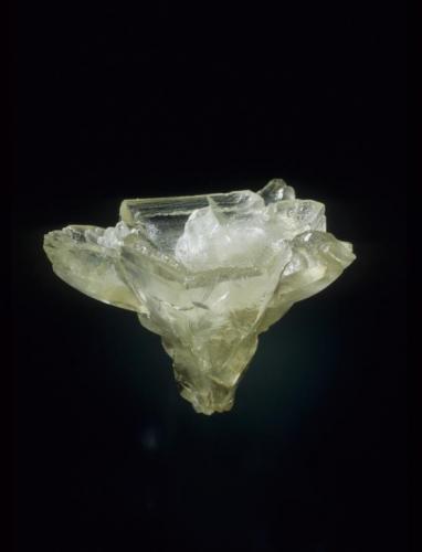 Calcite
Crystal River Quarry 2, Lecanto, Citrus County, Florida, USA
Specimen: Arkenstone
Photo: Jeff Scovil (Author: Jordi Fabre)