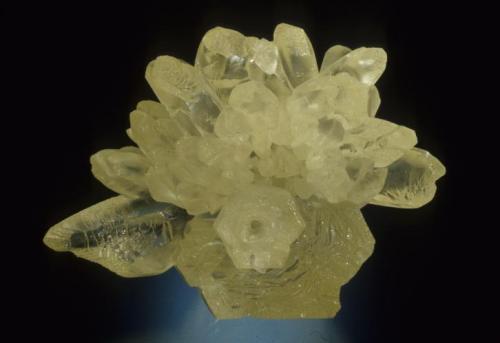 Calcite (close up)
Crystal River Quarry 2, Lecanto, Citrus County, Florida, USA
5.8 cm. wide
Specimen: Francis Benjamin collection
Photo: Jeff Scovil (Author: Jordi Fabre)