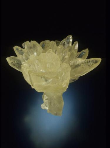 Calcite
Crystal River Quarry 2, Lecanto, Citrus County, Florida, USA
5.8 cm. wide
Specimen: Francis Benjamin collection
Photo: Jeff Scovil (Author: Jordi Fabre)