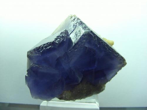 Fluorita
Geoda `La Negrina¨, La Viesca, Asturias, España
7x7 cm. (Autor: jaume.vilalta)