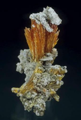 Warikahnita con Cuarzo
Tsumeb, Namibia
Tamaño del ejemplar: 4.9 x 3 cm.
Portada de la revista Mineralogical Record, Volumen 36, Número 4, Julio - Agosto 2005

Ejemplar: Colección William Pinch 
Fotografía: Jeff Scovil & The RRUFF Project (Autor: Pinch Bill)