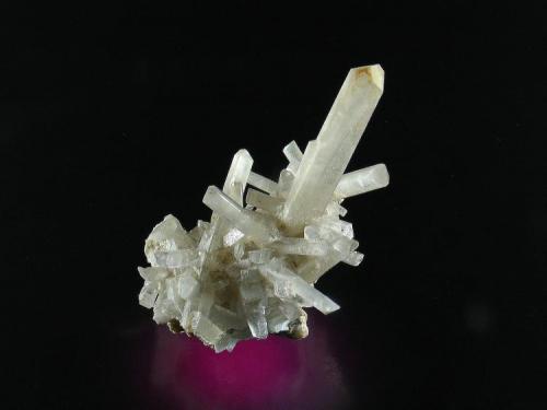 Celestina
Ulea, Murcia, España
5x3 cm. (Autor: josminer)