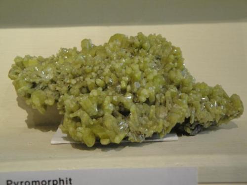 Piromorfita<br />El Horcajo Mines, El Horcajo, Almodóvar del Campo, Comarca Campo de Calatrava, Ciudad Real, Castilla-La Mancha, Spain<br />15 x 6 cm.<br /> (Autor: javier ruiz martin)