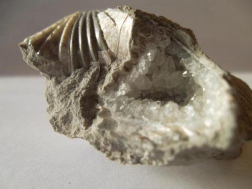 Calcita<br />Torremocha del Campo, Comarca Sierra Norte de Guadalajara, Guadalajara, Castilla-La Mancha, Spain<br />3 x 3 cm.<br /> (Autor: javier ruiz martin)