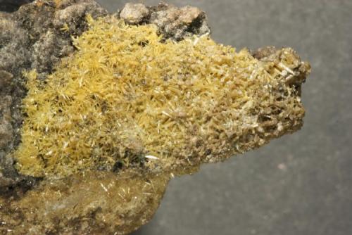 Vanadinita
Mina "San Manuel", Berlanga, Badajoz, Extremadura, España
Zona mineralizada: 3x1,5 cm (Autor: Inma)
