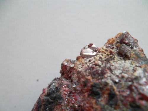 Cinabrio<br />Mina El Entredicho, Almadenejos, Comarca Valle de Alcudia, Ciudad Real, Castilla-La Mancha, España<br />0,4 cm. los cristales<br /> (Autor: javier ruiz martin)