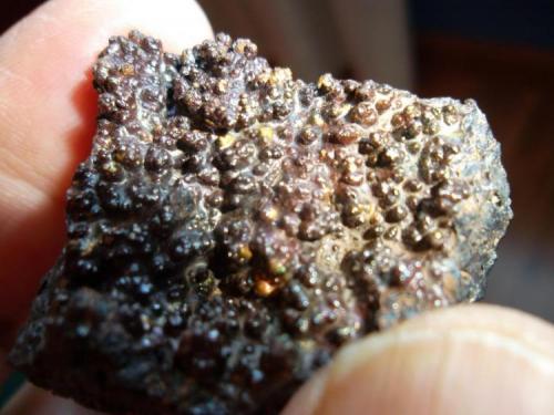 Goethita<br />Setiles, Comarca Señorío de Molina-Alto Tajo, Guadalajara, Castilla-La Mancha, Spain<br />4 x 4 cm.<br /> (Autor: javier ruiz martin)