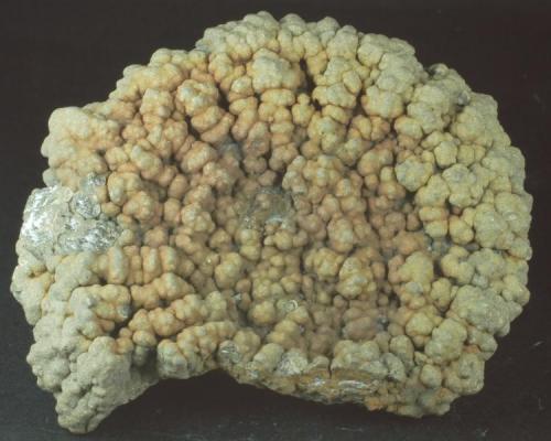 Pirita recubriendo Amonites
Playas de Lyme Regis - Dorset - United Kingdom
76 x 60 x 20 mm (Autor: Joan Martinez Bruguera)