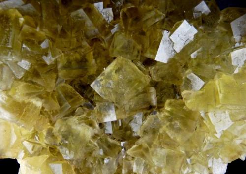 Fluorita<br />Mina Matagalls (Minas de Sant Marçal), Sant Marçal, Viladrau, Comarca Osona, Gerona / Girona, Cataluña / Catalunya, España<br />200 x 190 mm. Cristal mayor 19 mm.<br /> (Autor: Jesus Franquesa Baucells)