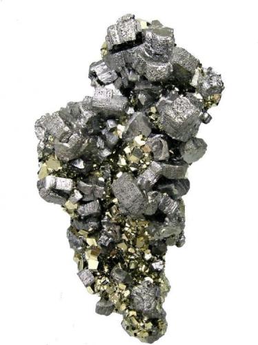 Bournonite, pyrite
Mina Mercedes, Huallanca, Dos de Mayo, Huánuco, Peru
78 mm × 44 mm × 20 mm

Also published at "Fabre Minerals Reference Specimens - The Silvane Collection" http://www.fabreminerals.com/specimens/RSSLV-silvane-notable-specimens.php#AL66M6 (Author: Carles Millan)