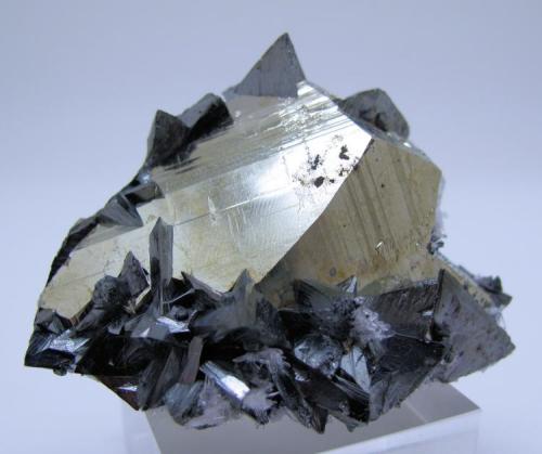 Tetrahedrite, pyrite, quartz
Mundo Nuevo Mine, Huamachuco, Sanchez Carrion Province, La Libertad Department, Peru
65 mm x 51 mm. Longest tetrahedron edge: 12 mm.  Longest pyrite crystal edge: 25 mm (Author: Carles Millan)