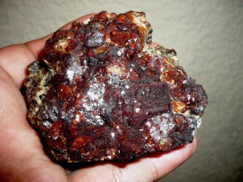 Reddish Andradite 
from Salaverna, Mazapil, Zacs.
75 x 70 x 28 mm (Author: Carlos M.)