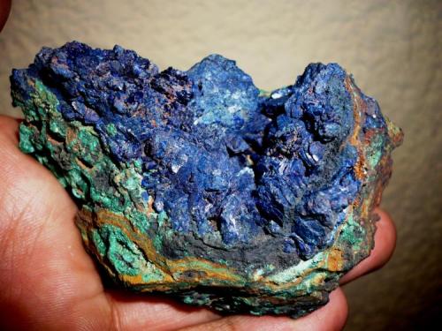 Azurite xls on limonite with hairy Malachite; 
from El Cobre mine, Concepción del Oro, Zacs
78 x 55 x 50 mm (Author: Carlos M.)
