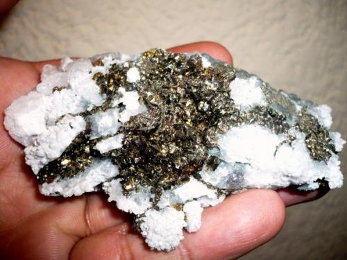 Chalcopyrite xtals. on milky quartz 
 Sabinas mine, San Martín, Sombrerete, Zacatecas, Mexico
82 x 50 x 30 mm (Author: Carlos M.)