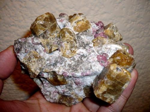 Vesuvianite with Red Grossular
 Sierra de las Cruces (near Hercules mines), Sierra Mojada, Coahuila, Mexico
110 x 95 x 90 mm
Main xtal.: 25 mm (Author: Carlos M.)