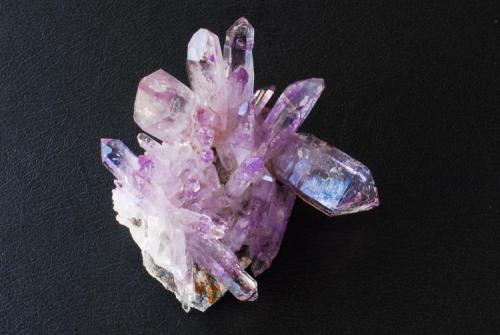 Amethyst
Las Vigas, Veracruz, México
7x6 cm. (Author: Enrique Llorens)