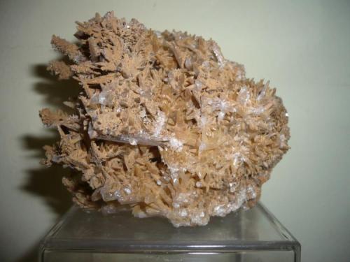 "Cactus Calcite"
Santa Eulalia, Aquiles Serdán,  Chihuahua, Mexico
85x76x70mm (Author: Carlos M.)