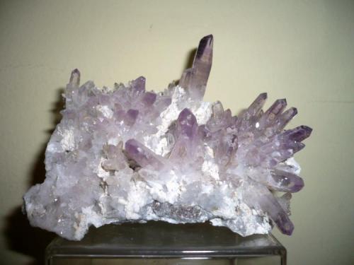 Amethyst druse
Cerro De La Concordia, Piedra Parada, Tatatila, Veracruz, Mexico
93x49x68mm   Primary Xl  30mm long (Author: Carlos M.)