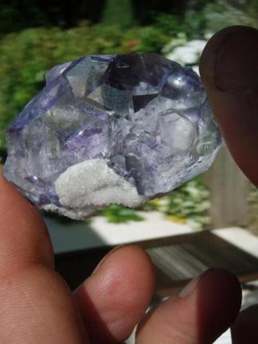 Fluorite
Naica, Municipio de Saucillo, Chihuahua, Mexico
7x5x3 cm.
Found in 1985 (Author: Jean louis lebret)