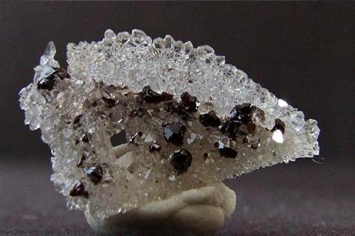 Sphalerite on Quartz
Admiralty Flats, Nentsberry Haggs Mine, Alston Moor, Cumbria, UK
12 mm long (Author: nurbo)