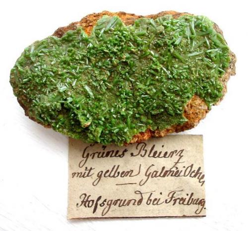 Pyromorphite crystals up to 1 cm on matrix from Hofsgrund, Schauinsland near Freiburg, Baden-Württemberg. (Author: Andreas Gerstenberg)