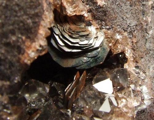 Specularite with Quartz on Hematite.
West Cumberland Iron Ore Fields. Same ore body that is worked at the Florence Mine though this is from an unnamed mine several miles from that site. The ore body that was worked at Florence had over 400 mines and pits dug into it and this is from one of those.
Hematite measures 5mm across the top (Author: nurbo)