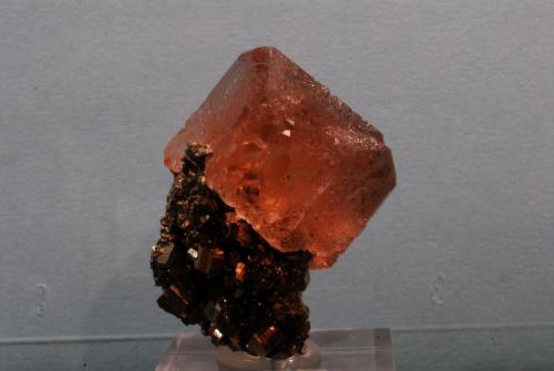 Fluorite
Huanzala, Peru
6x3 cm. (Author: Enrique Llorens)