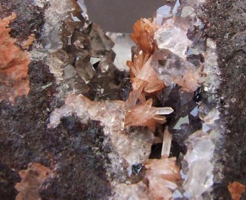 Aragonite and Quartz on Hematite
Florence Mine, Egremont, Cumbria
Aragonites to 12 mm (Author: nurbo)