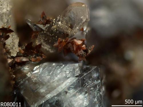 Mawbyite on Scorodite (close up)
Tsumeb, Namibia

Specimen: William Pinch Collection
Photo: Jeff Scovil & The RRUFF Project (Author: Pinch Bill)