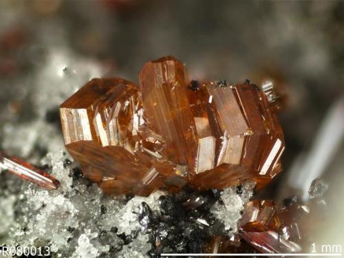 Xanthoconite
Imiter, Morocco

Specimen: William Pinch Collection
Photo: Jeff Scovil & The RRUFF Project (Author: Pinch Bill)