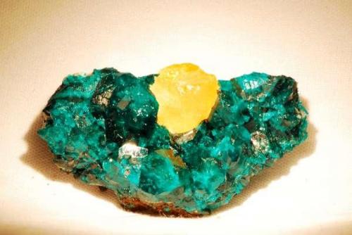 Wulfenite xl on Dioptase xls
Tsumeb, Namibia
Size: Miniature

Specimen: William Pinch Collection
Photo: Jeff Scovil & The RRUFF Project (Author: Pinch Bill)