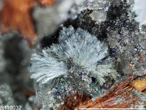 Kottigite
Tsumeb, Namibia

Specimen: William Pinch Collection
Photo: Jeff Scovil & The RRUFF Project (Author: Pinch Bill)