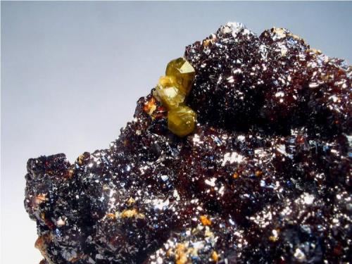 Sphalerite and siderite
Troya Mine. Mutiloa. Guipuzcoa. Spain
5 x 4 cm
A detail (Author: nimfiara)