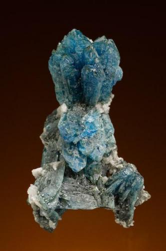 Scorodite xls with Quartz xls
Tsumeb, Namibia
Size: Cabinet - 3.9 cm. high

Specimen: William Pinch Collection
Photo: Jeff Scovil & The RRUFF Project (Author: Pinch Bill)