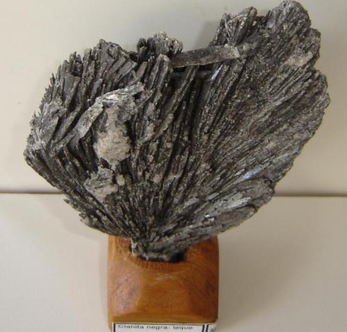 Kyanite (black)
Itinga, Jequitinhonha valley, Minas Gerais, Southeast Region, Brazil
11 x 9 x 0,9 cm (Author: Anísio Cláudio)