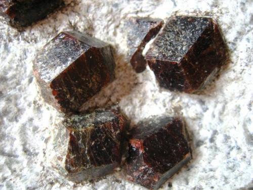 Almandine in mica schist
Ziller valley, North Tyrol, Tyrol, Austria
160 x 120 x 60 mm

Closer look at the some of the crystals, each one of them about 20 mm. (Author: Tobi)