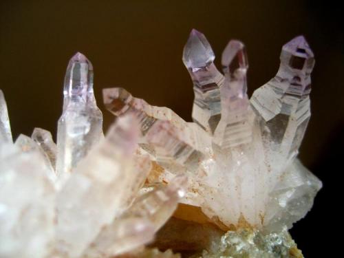 Quartz var. amethyst
Brandberg area, Brandberg District, Erongo Region, Namibia
75 x 50 x 40 mm

I suppose most of you love quartz sceptres, so here’s a closer shot of them (each one measures ~ 25 mm) ... (Author: Tobi)