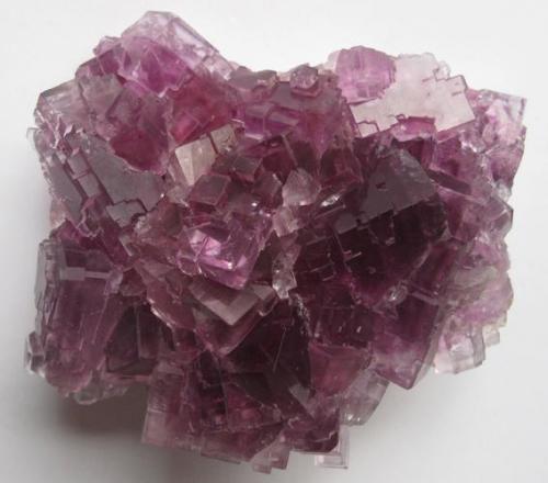 Fluorite
La Cabaña, Berbes, Asturias, Spain
8.5 x 6.2 cm. (Author: JoséMiguel)