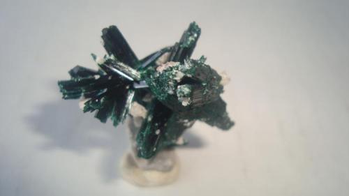 Brochantite
Milpillas, Sonora, Mexico.
3x3.5 cm. (Author: javmex2)