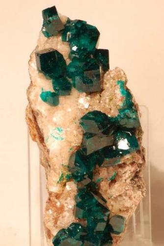 Dioptase on Calcite
Tsumeb, Namibia
Specimen size: Cabinet

Specimen: William Pinch Collection
Photo: Jeff Scovil & The RRUFF Project (Author: Pinch Bill)